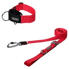 분독 플레이리쉬 리드줄 + 카라비너 와이드 목줄 세트, 레드, 1세트