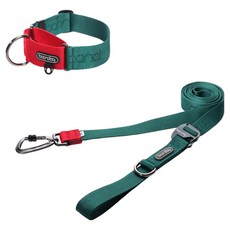 분독 플레이리쉬 리드줄 + 카라비너 와이드 목줄 세트, 그린, 1세트