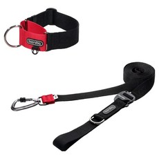 분독 플레이리쉬 리드줄 + 카라비너 와이드 목줄 세트, 블랙, 1세트