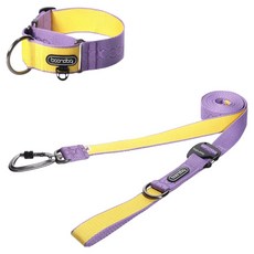 분독 플레이리쉬 리드줄 + 카라비너 와이드 목줄 세트, 퍼플레몬, 1세트