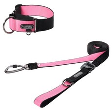 분독 플레이리쉬 리드줄 + 카라비너 와이드 목줄 세트, 블랙핑크, 1세트