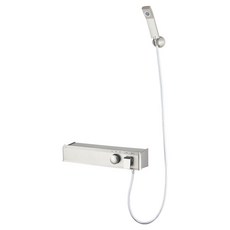 다인이엔지 두진바스 아이언 프리미엄 선반형 샤워수전 무광니켈 DB911 방문설치, 1개