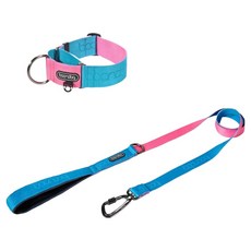 분독 강아지 오리지널 리쉬 리드줄 + 카라비너 와이드 목줄 세트, 아쿠아핑크, 1세트