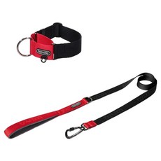 분독 강아지 오리지널 리쉬 리드줄 + 카라비너 와이드 목줄 세트, 블랙, 1세트