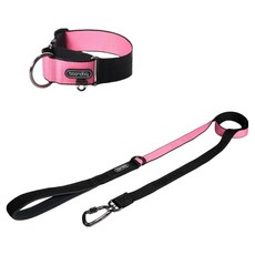 분독 강아지 오리지널 리쉬 리드줄 + 카라비너 와이드 목줄 세트, 블랙핑크, 1세트