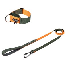 분독 강아지 오리지널 리쉬 리드줄 + 카라비너 와이드 목줄 세트, 카키오렌지, 1세트