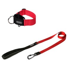분독 강아지 오리지널 리쉬 리드줄 + 카라비너 와이드 목줄 세트, 레드, 1세트