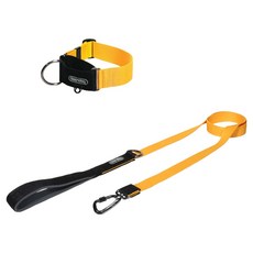 분독 강아지 오리지널 리쉬 리드줄 + 카라비너 와이드 목줄 세트, 옐로우, 1세트