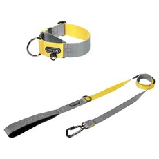 분독 강아지 오리지널 리쉬 리드줄 + 카라비너 와이드 목줄 세트, 그레이레몬, 1세트