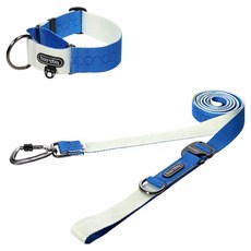 분독 강아지 플레이 리쉬 리드줄 + 카라비너 와이드 목줄 세트, 크림블루, 1세트