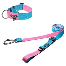 분독 강아지 플레이 리쉬 리드줄 + 카라비너 와이드 목줄 세트, 아쿠아핑크, 1세트