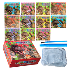 해피아이 공룡 화석 발굴 키트 12종 세트, 1세트