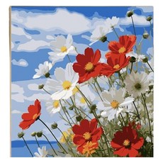 Jeniel DIY油畫繪圖 挑戰繪畫 40*50cm, 1個, COSMOS