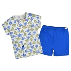 모이몰른 아동용 팜즈 반팔 상하의 세트 M242NNN47P