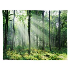 홈플로우 평온한 자연 숲 풍경 홈인테리어 태피스트리, C