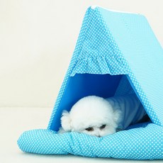 REDPUPPY 寵物舒適屋, 1個, 波點藍