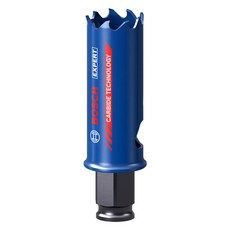 BOSCH 博世 EXPERT碳化物圓孔鋸 22mm 2608900420, 1個