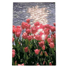 Rootwell Life DIY數字油畫套組 40 x 50 cm, 1套, 鬱金香