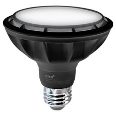 번개표 LED 램프 확산형 PAR30 블랙바디 15W, 주광색, 1개