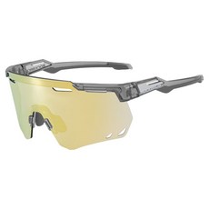 ROCKBROS 洛克兄弟 運動變色護目鏡+度數夾組 SP323, 透明黑色(鏡框) + 金色(鏡片)