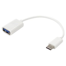 EDUPLAYER Type-A轉Type-C 直式延長線, 1個, 單一顏色, 158mm