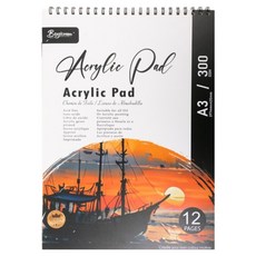 Boyixuan 厚磅高級壓克力繪圖本 300g 12p, 1個, A3