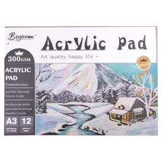 Ollike加厚高級壓克力繪圖本 12p, 1個, A3