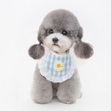 김멍냥 반려동물 플라워 케이프, 블루, 1개