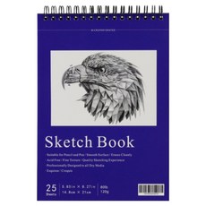 올라이크 이글 드로잉북 B타입, A5, 1개