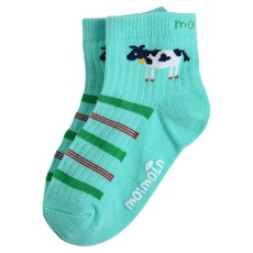 모이몰른 아동용 크로플 스니커즈 양말 M242SOI26P