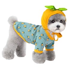 junsung 狗狗檸檬T恤 + 帽子套組, 1套, 藍色