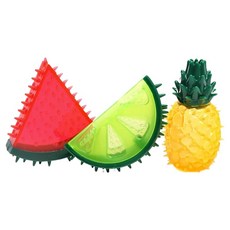 둥둥펫 강아지 셀프칫솔 삑삑 장난감 후르츠 3종 세트, 수박, 파인애플, 라임, 1세트