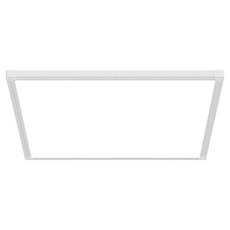 vittz LED 側光式超薄平面燈 50W 540 × 540 x 26 mm, 白色 + 晝光色