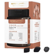 누터스가든 강이지 견생비책 프로텍트 업 120g, 면역/항산화, 120정, 1개
