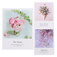 Leovince 迷你海報裝飾明信片卡片 3件組, 粉紅色, 1套