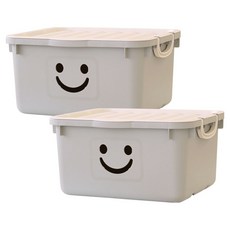 BONOHOUSE 現代風寬版快樂箱 46L, 2個, 灰色