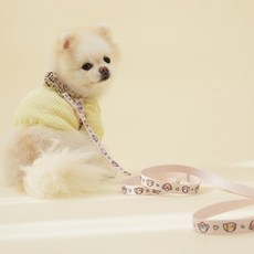 hitzzi 狗狗圖案柔軟免持牽繩, 自然米色, 1個