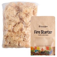 브리즈문 파이어스타터 착화제 우드 고체연료 불쏘시개, 500g, 1개