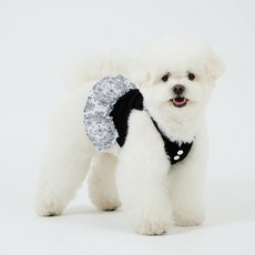 Montier 寵物Peppy連身裙, 黑色, 1個