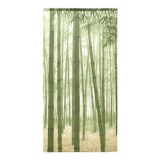 コスモ 長門簾, 竹林嫩葉