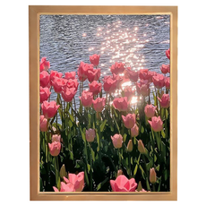 Monogent 花卉圖 DIY 數字油畫 40 x 50 cm, 鬱金香, 1個