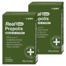 펫생각 반려동물 리얼 그린 프로폴리스 영양제 45g, 180정, 면역/항산화, 2개