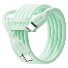 CODEWAY Type-C轉Type-C Palette 100W PD 超高速充電線, 春日薄荷, 0.6m, 1個