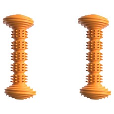 순잠 반려동물 물고 씹고 치카치카 스트레스 날리는 양치 장난감, 오렌지, 2개