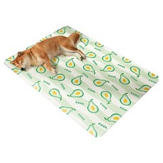 파스텔펫 반려동물 썸머 후르츠 쿨매트, C타입, 1개