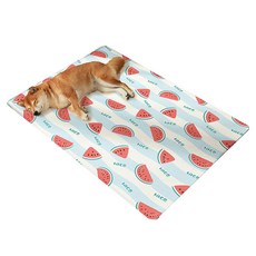 파스텔펫 반려동물 썸머 후르츠 쿨매트, A타입, 1개