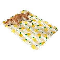 파스텔펫 반려동물 썸머 후르츠 쿨매트, B타입, 1개