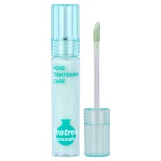 초초스랩2.0 티트리 포어 케어 커버 컨실러 4g, 1개