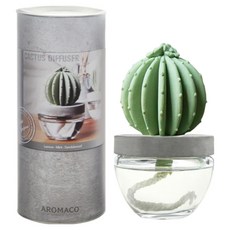 아로마코 선인장 석고 디퓨저, 플라워미스트, 100ml, 1개