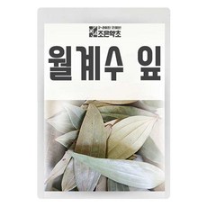 조은약초 월계수 잎, 150g, 1개